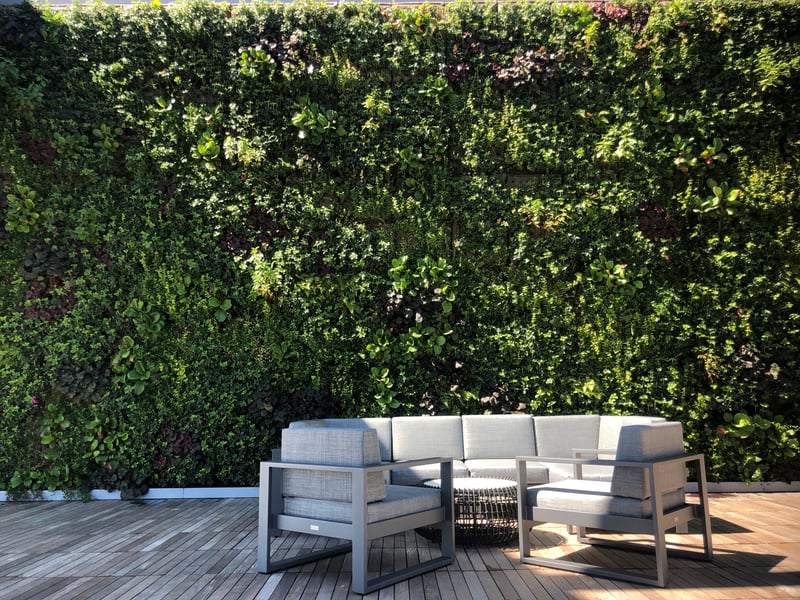 Pier 4 Rooftop Terrace preview 5